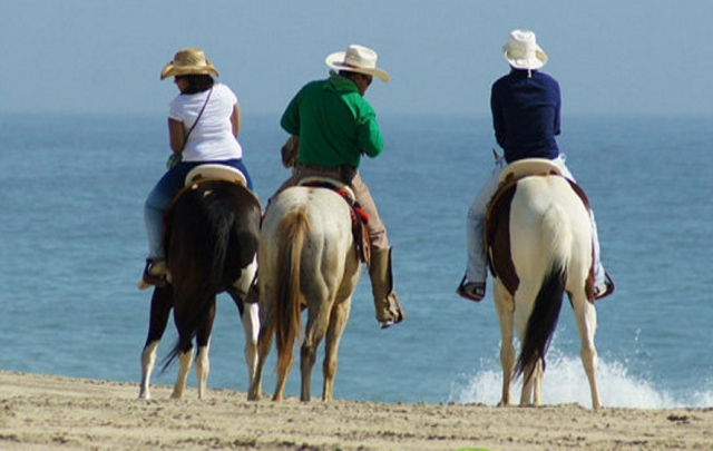 Rutas a caballo en Los Cabos